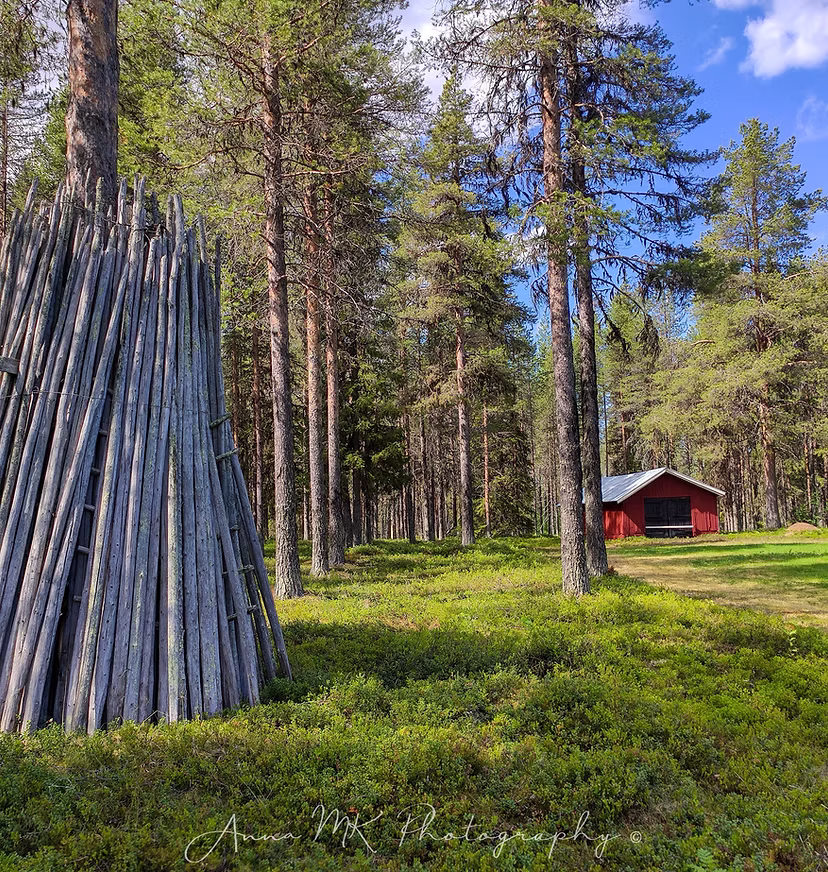 img 20210609 114840 img 20210609 114840